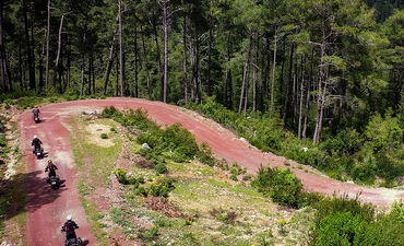 Пуговичные домики в Деревне Ормана