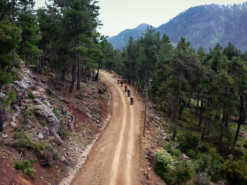 Пуговичные домики в Деревне Ормана