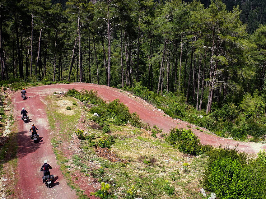 Пуговичные домики в Деревне Ормана