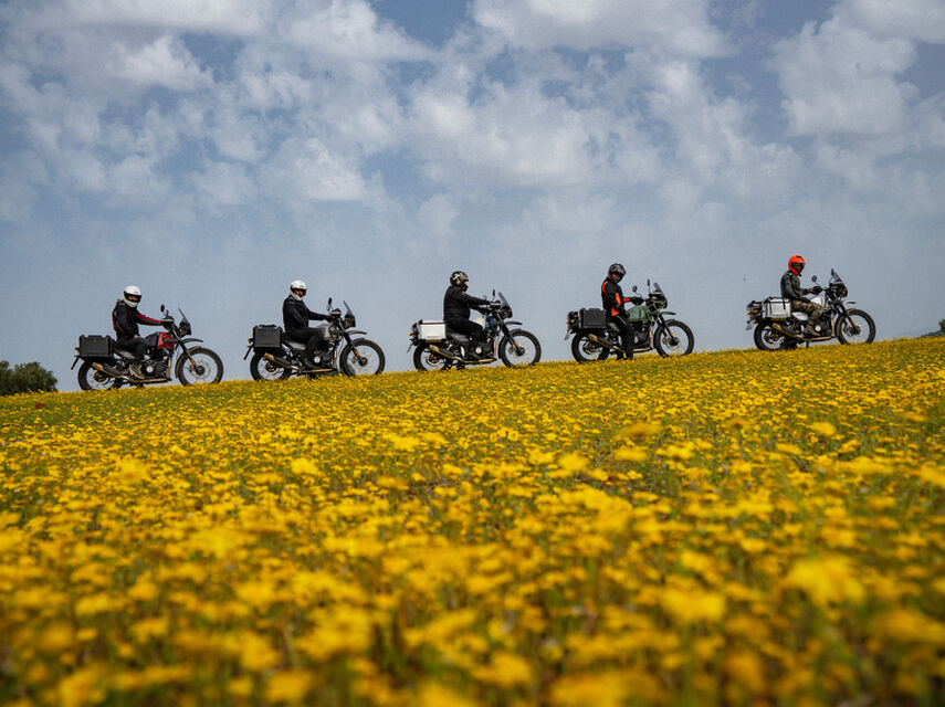 Пуговичные домики в Деревне Ормана
