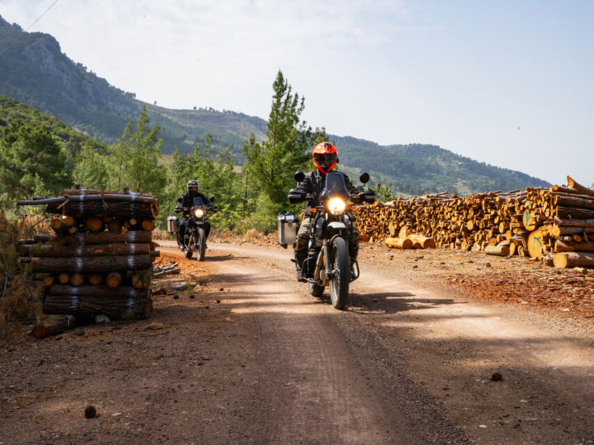 Пуговичные домики в Деревне Ормана