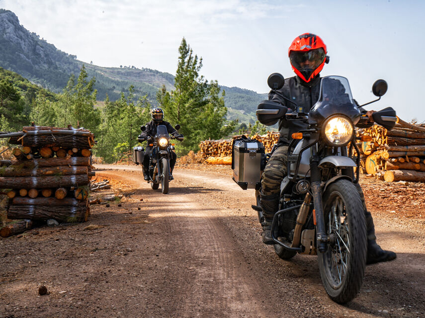 Пуговичные домики в Деревне Ормана