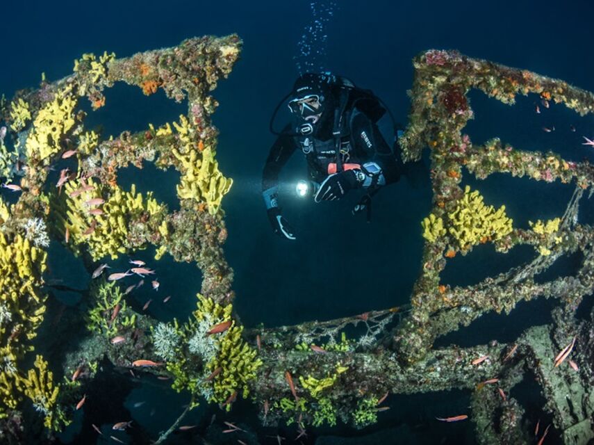Master Diver