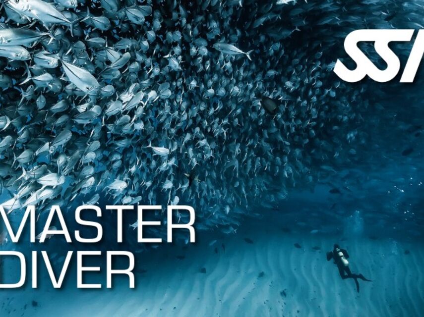 Master Diver