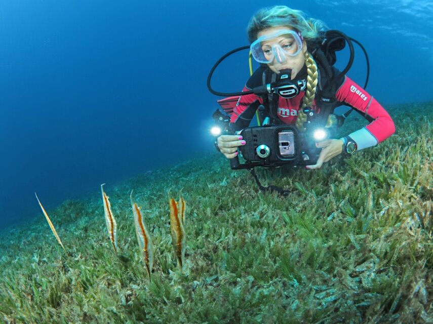 Master Diver